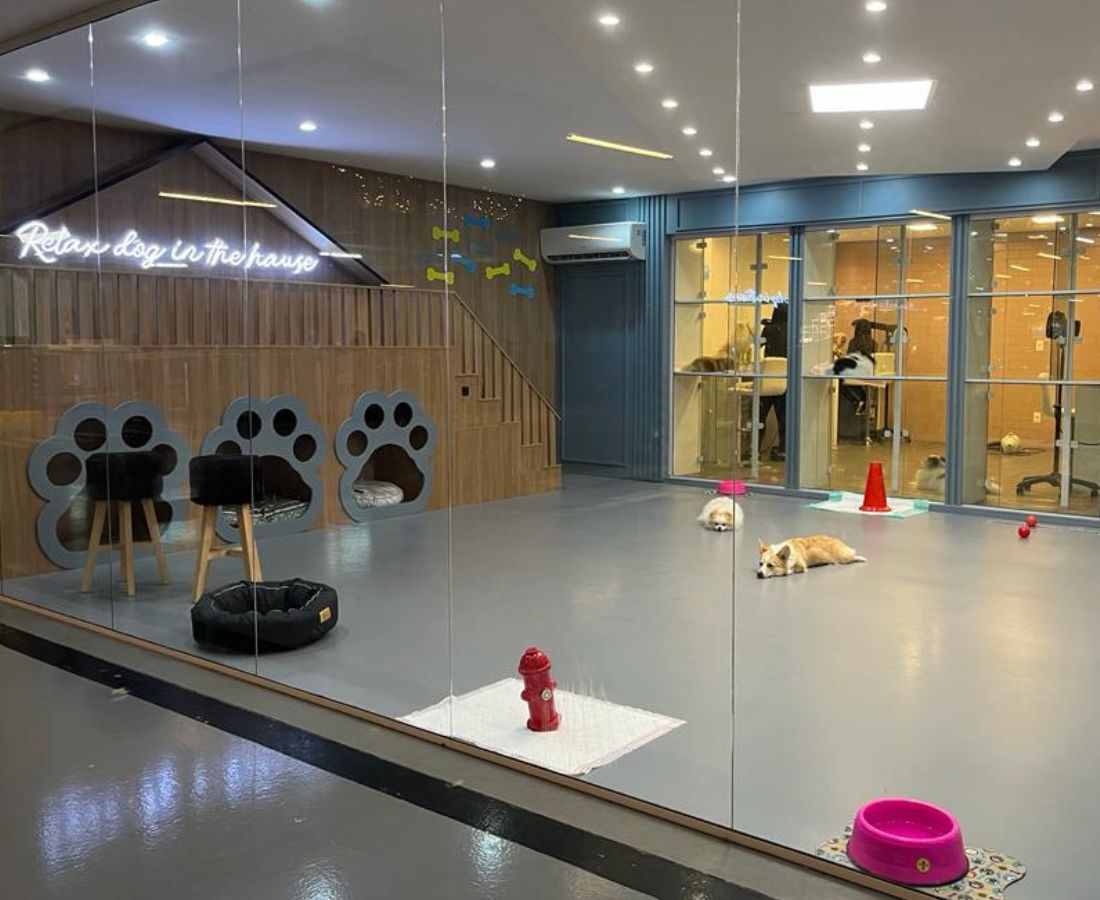Peteca Pet Park Boutique