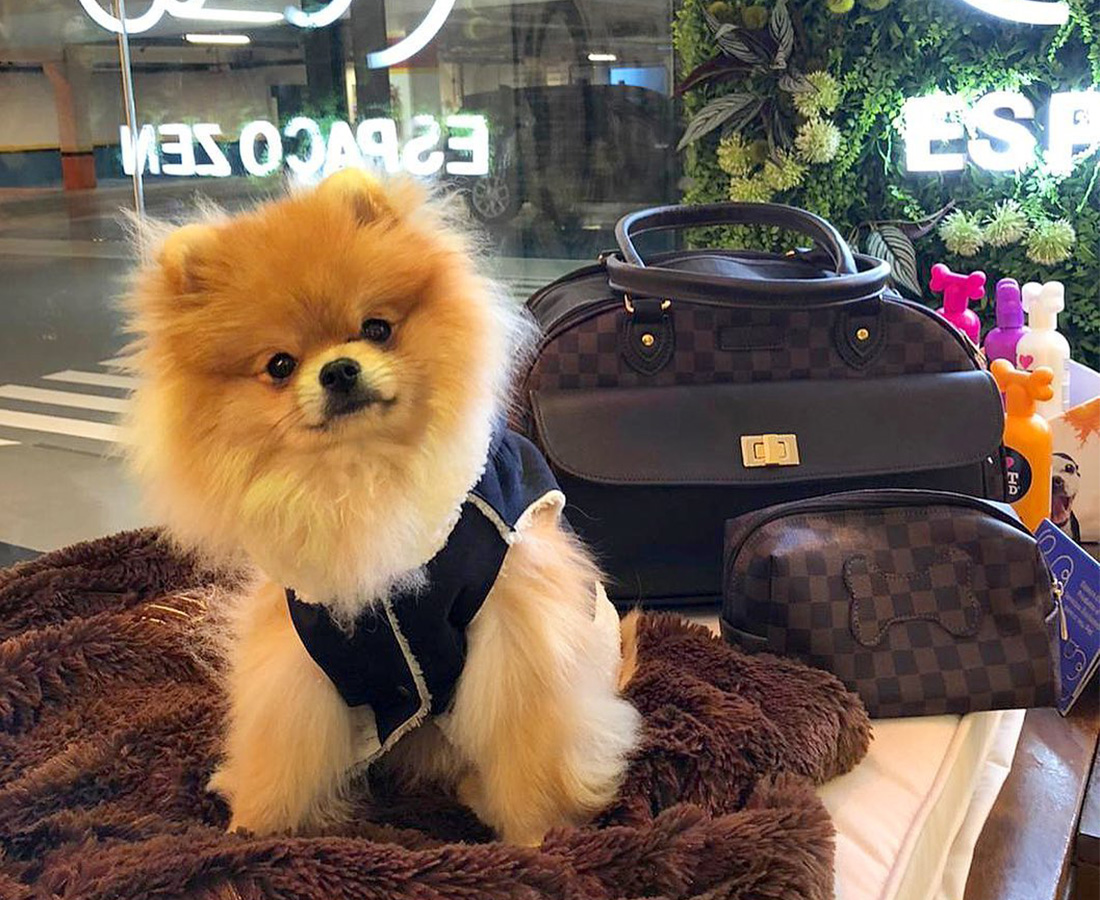 Peteca Pet Park Boutique